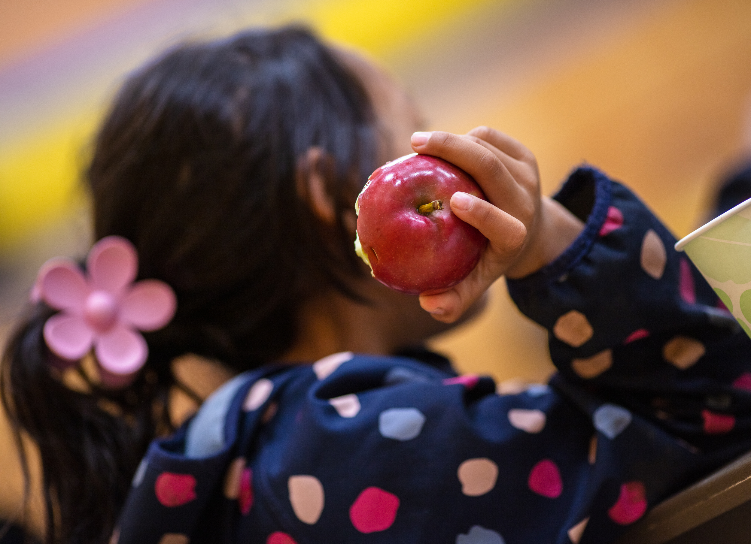 ISR School Foods Program offers one-time grocery supplement for December break